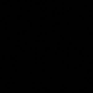 Meet your Posher, Eden